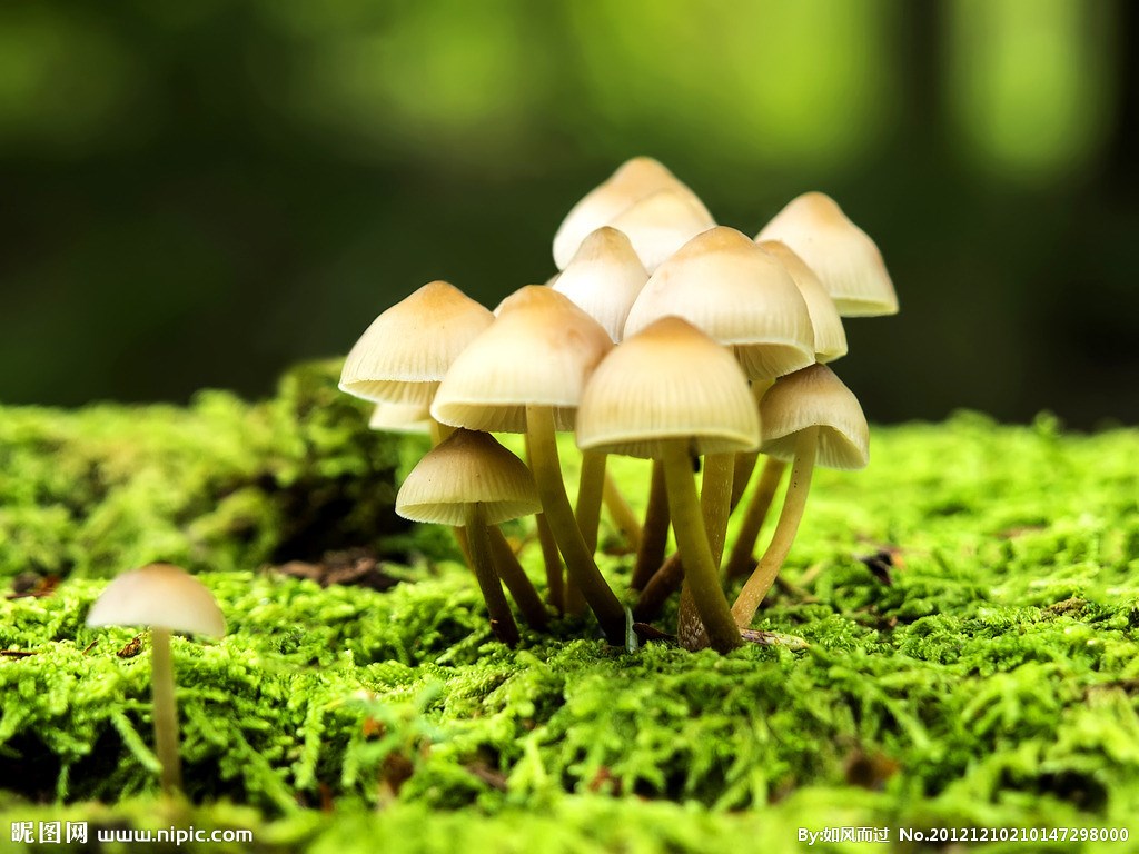 衛(wèi)生間通風(fēng)不暢長蘑菇？看世紀豪門如何實現(xiàn)干濕分區(qū)！